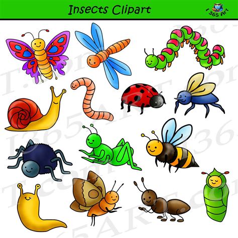 clipart images of insects|More.